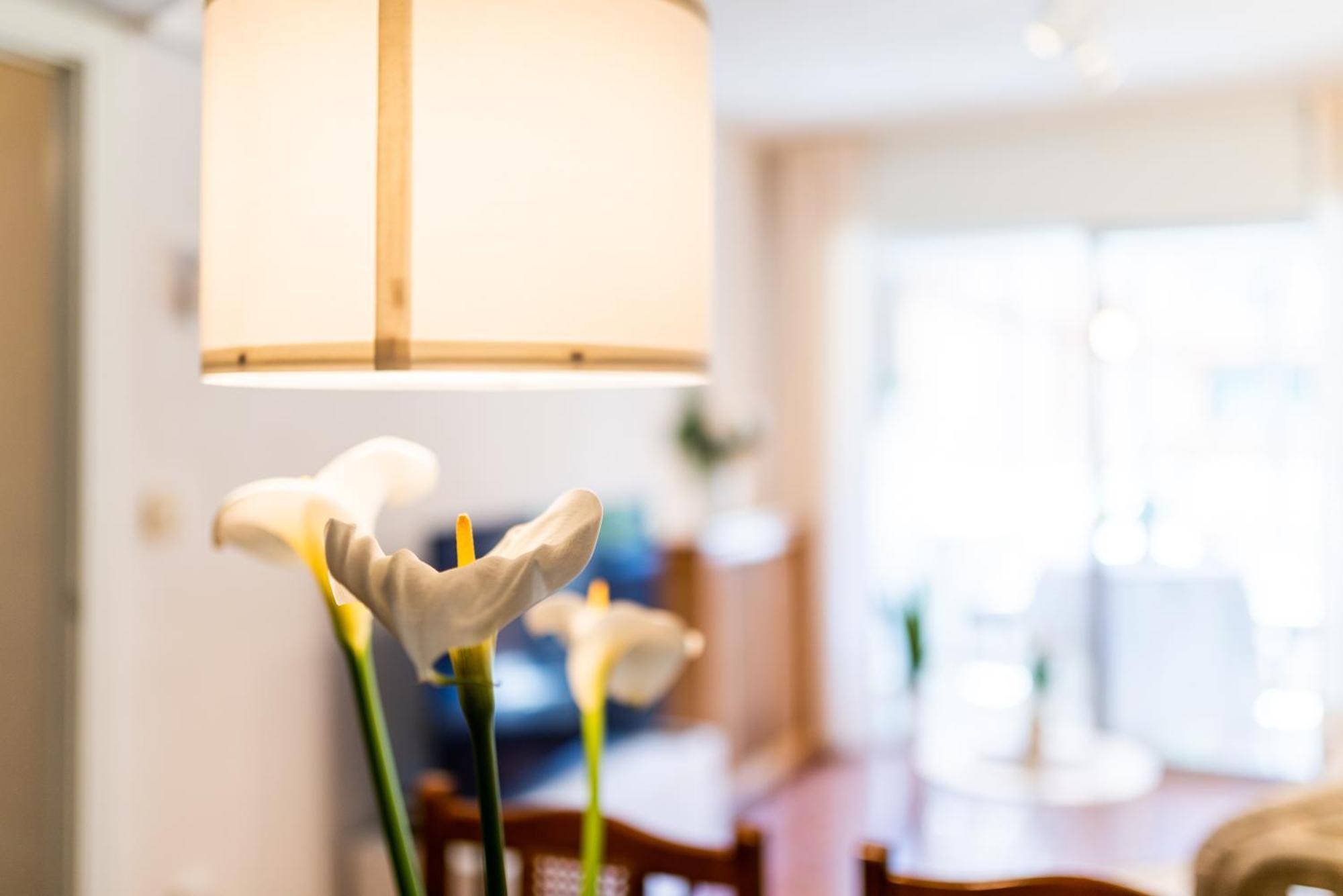 Apartamento Turismo グラナダ エクステリア 写真